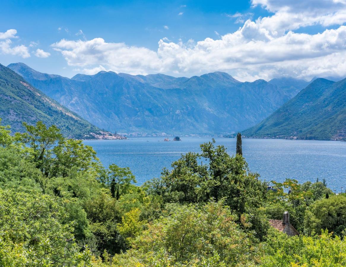 Villa Amfora Lipci ภายนอก รูปภาพ